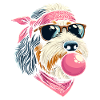 Bernedoodle Dog Chewing Gum