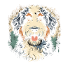 Bernedoodle Dog