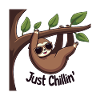 FUNNY SLOTH
