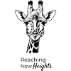 Reaching New Heights - Giraffe
