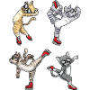 Figure Skating - Cat Figure Skating