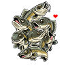 Funny Zander Fish Zander