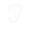 Arborist Baumpfleger Baumkletterer Baumklettern