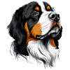 Berner sennenhund Søte hunder Sveitsiske fjellhunder