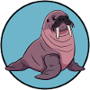 Walrus Sea Lion Animals