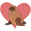 Walrus Sea Creatures Sea Creature
