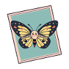 Butterfly Animal Lover Summer