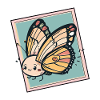 Butterfly Ash Butterfly