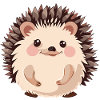 Hedgehog Spitz