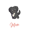 Bolonka Zwetna Mama