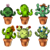Cactus Succulent Plants