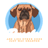 Puggle Hundebesitzer Hundehalter Geschenk