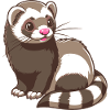 Ferret