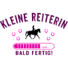 Reiterin