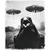 Ravn Krage Fugl UFO Alien Alien Selfie