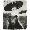 Skunk UFO Alien Alien Selfie