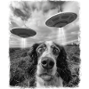 Springer Spaniel Dog UFO Alien Extraterrestrial Sel
