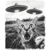Gato atigrado OVNI alienígena alienígena selfie