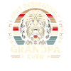 Bernedoodle Hund Opa