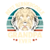 Bernedoodle Chien Grand-père