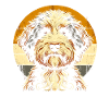 Bernedoodle Dog