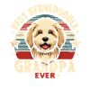 Bernedoodle Chien Grand-père