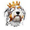 Bernedoodle Dog Crown