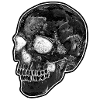 CLASSIC BLACK & WHITE SKULL