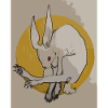 Hare of the Full Moon