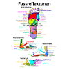 Réflexologie