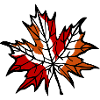 Autumn Leaf 1