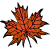 Autumn Leaf 2