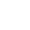 we shall never surrender !