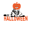 Halloween Cat