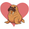 Walrus Animals
