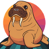 Walrus Alaska Arctic