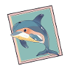 Dolphin Sea Creatures Sea