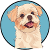 Dog Dog Trainer