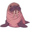 Walrus Animals