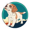 Chien Teckel Chiens