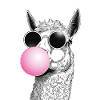 Bubble llama with humorous sunglasses