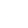 1966 Limited Edition