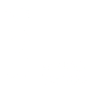 1965 Limited Edition