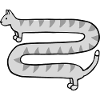 Cute long grey tabby cat
