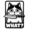 WHAT? A CAT WITH KNIFE