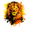 African lion