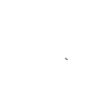 Cool White Dragon