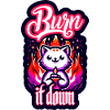 Brûlez-le | Chat avec du feu