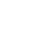 The Bride
