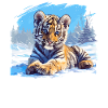 Siberian tigers Siberian tigers